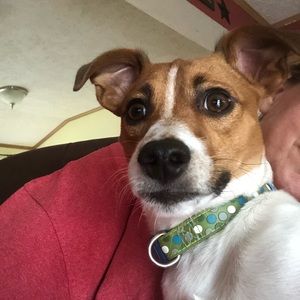 Meet your Posher, Krissie